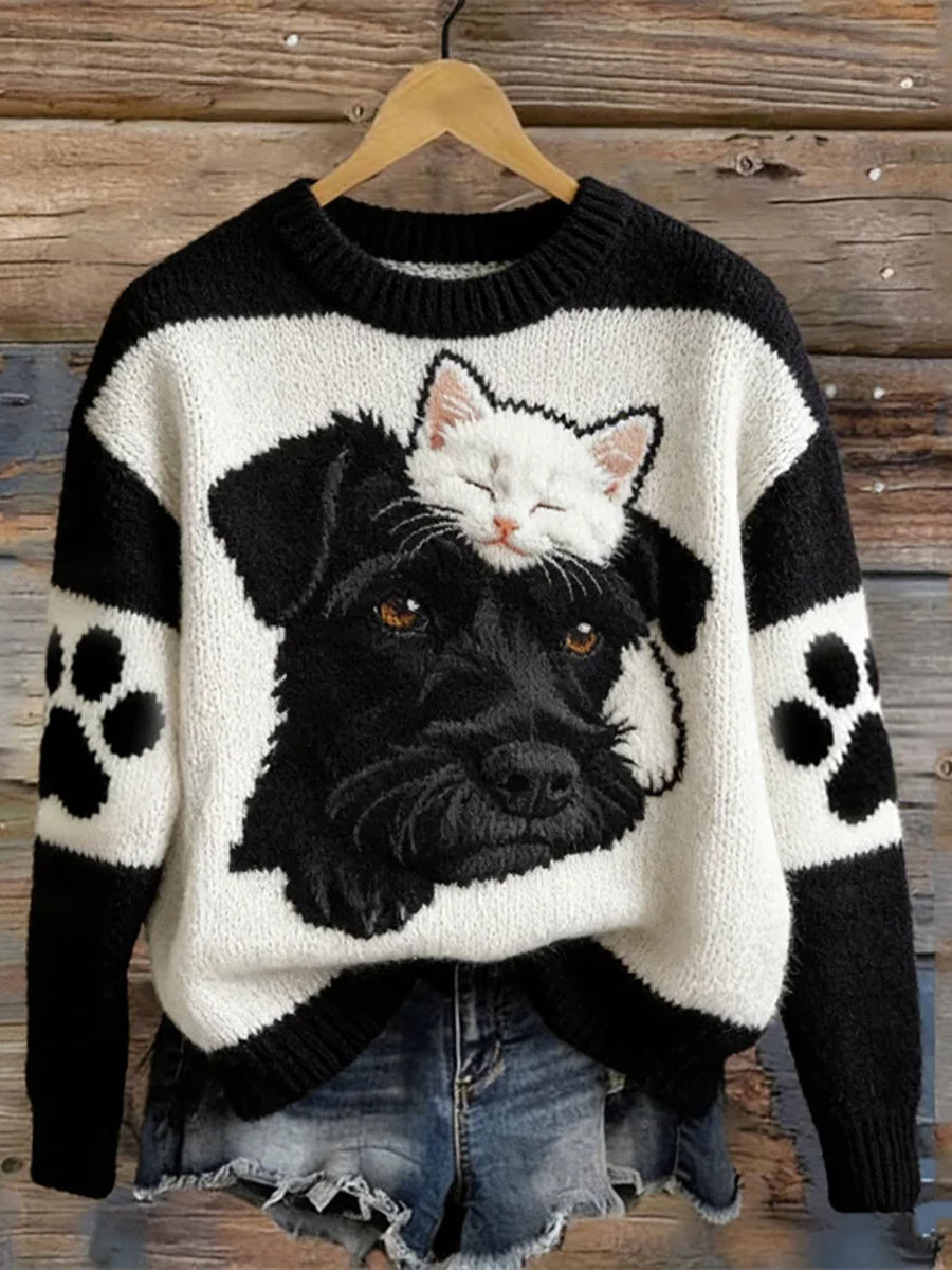 Cão preto bonito engraçado das mulheres e gato branco camisola aconchegante